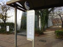 「マリナパーク南」バス停留所