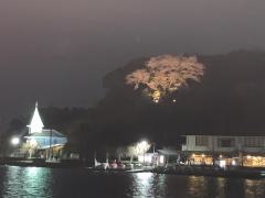 蓮華寺池公園