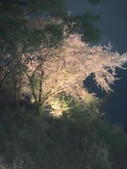 蓮華寺池公園