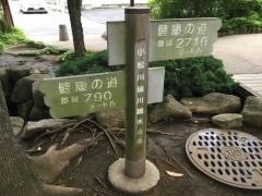 小松川境川親水公園