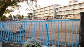 並木小学校