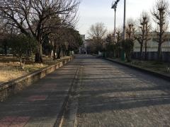 潮田公園