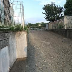 当知小学校