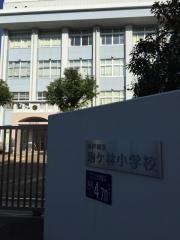 駒ヶ林小学校