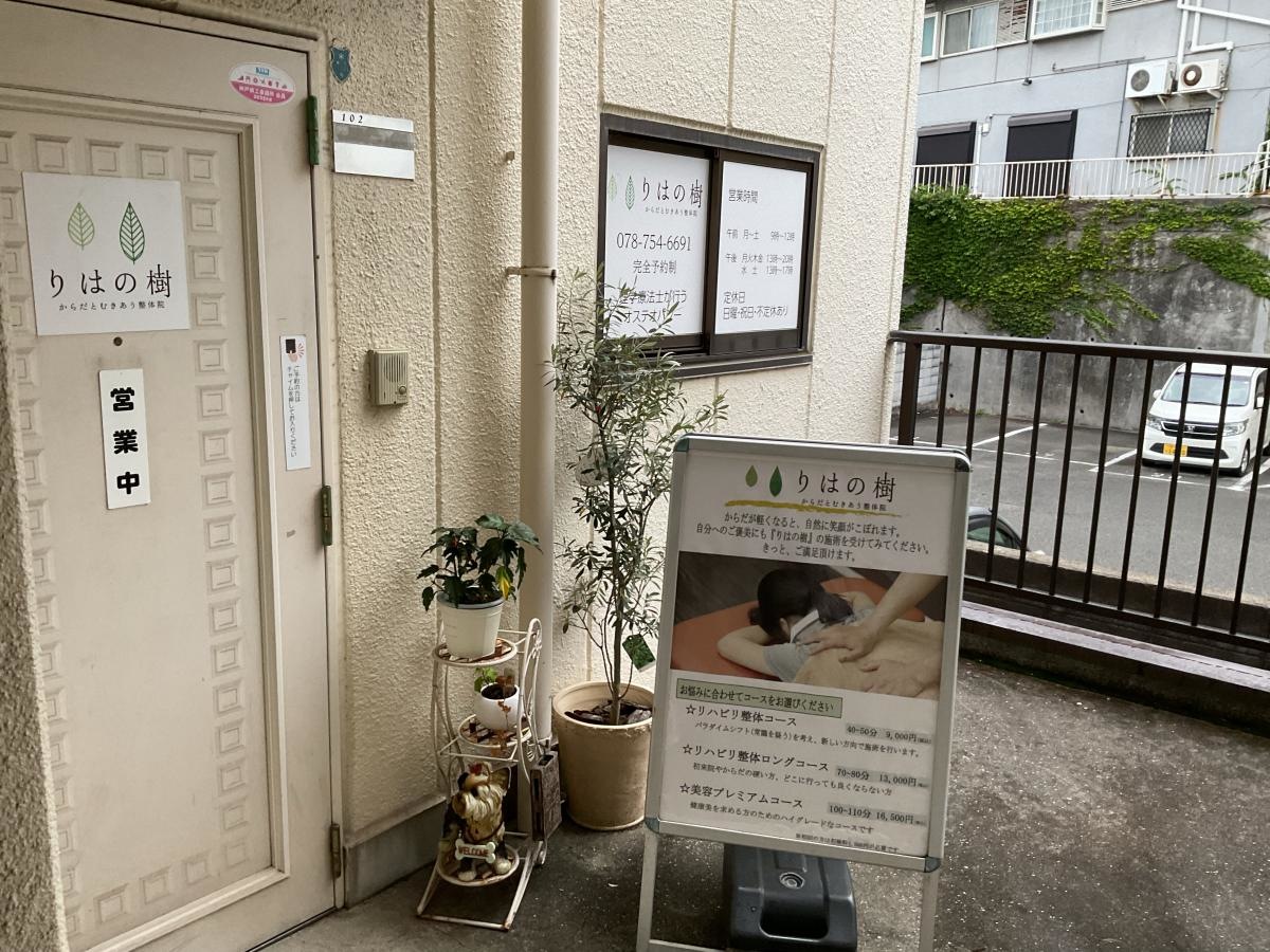 りはの樹