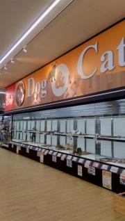 ペットエキスポ　豊橋汐田橋店