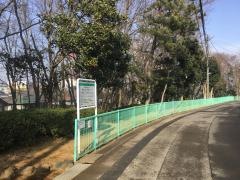 小室緑地