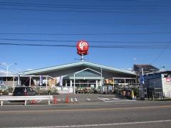 コメリハード＆グリーン　津南店