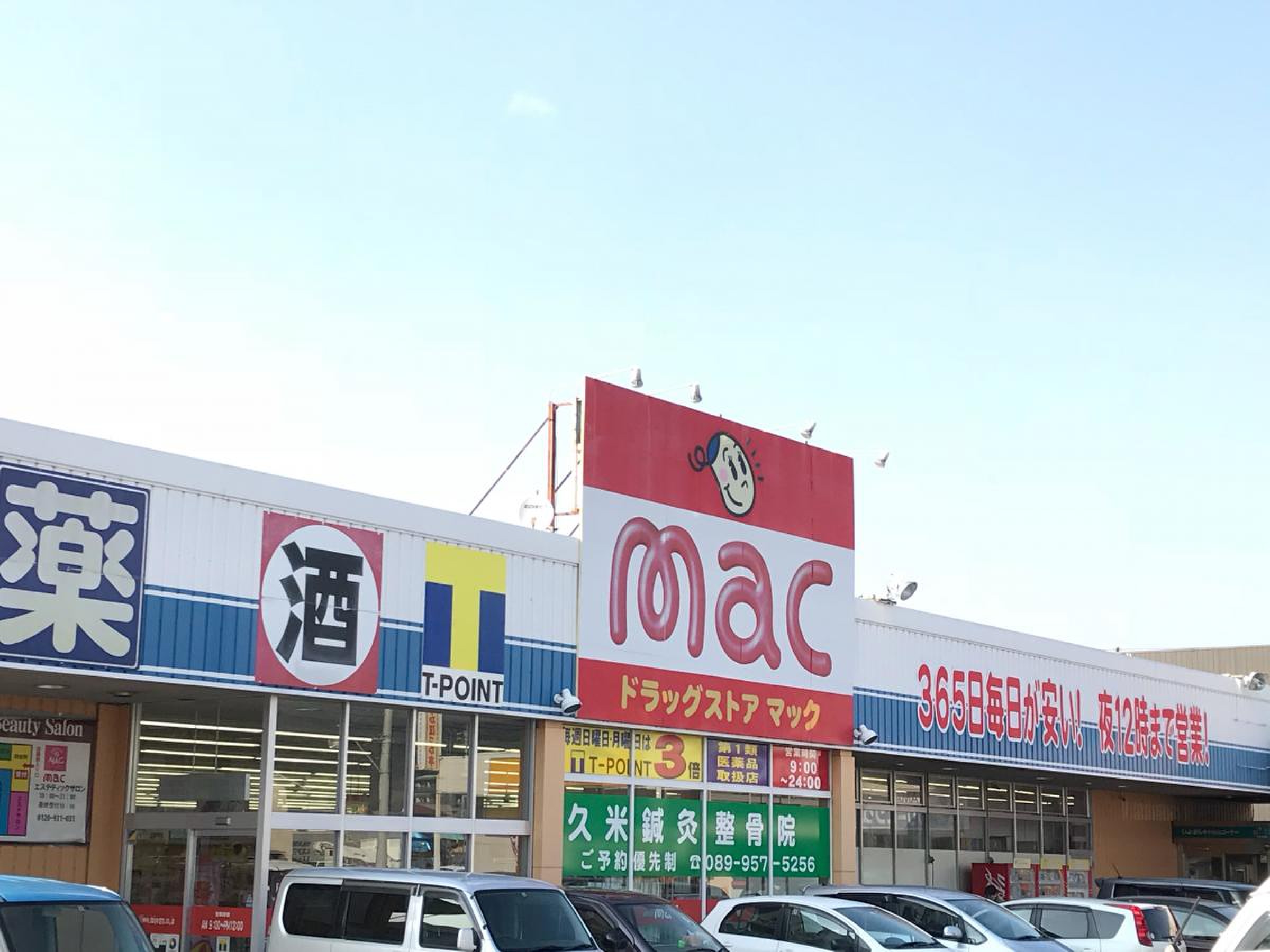 活動歴および当時の関連ビジュアル記録