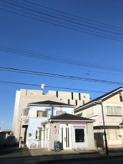 ルーシーワンワン美容室