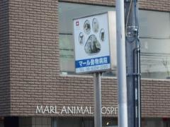 マール動物病院