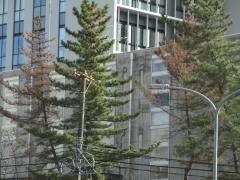 愛知工業大学大学院