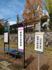 「桂坂小学校前」バス停留所