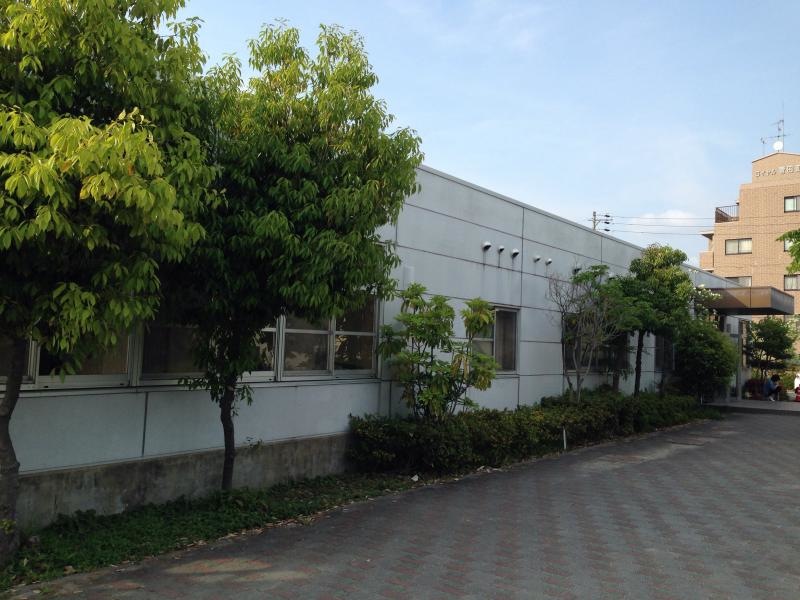 体育館