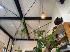 Ｃａｆｅ　Ｃｏｆｆｅｅ　Ｂｅｒｒｙ