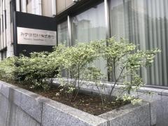 みずほ証券株式会社　本店営業第一部