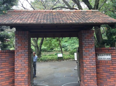 スタディピア 私立聖心女子学院初等科 ホームメイト