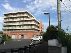 はつらつ浜野