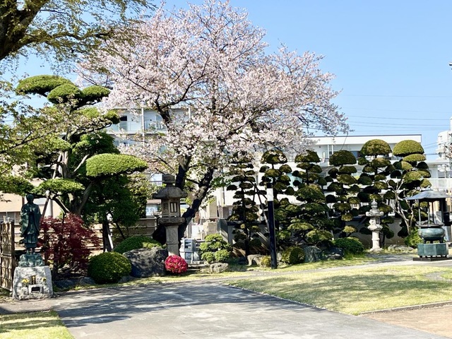 投稿写真7