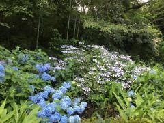 中山台2号緑地