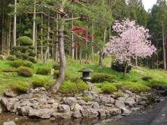東善院