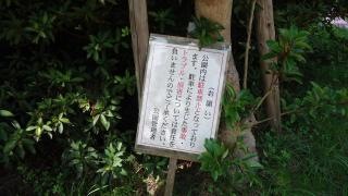 撫養緑地