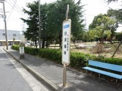 「白浜海岸」バス停留所