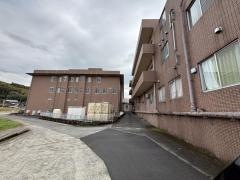 虹の杜