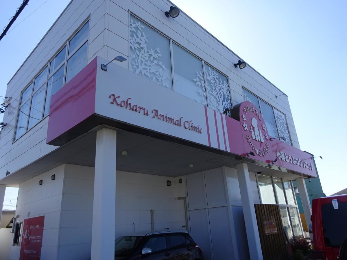 小春どうぶつクリニック