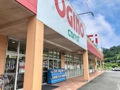 オギノキャロット南部店