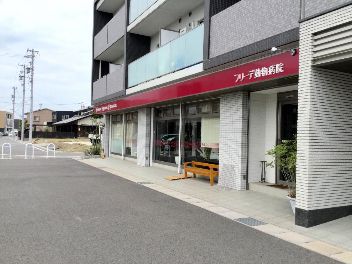 フリーデ動物病院