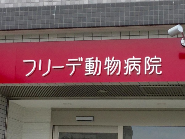 投稿写真6