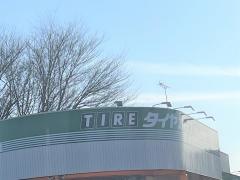 タイヤガーデン　アペックス33