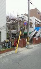 桂保育園