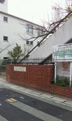 桂保育園