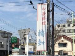 楠知