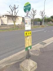 「南つつじが丘」バス停留所