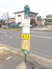 「南つつじが丘」バス停留所