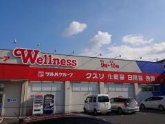 ドラッグストアウェルネス淀江店