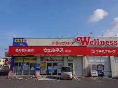 ドラッグストアウェルネス淀江店