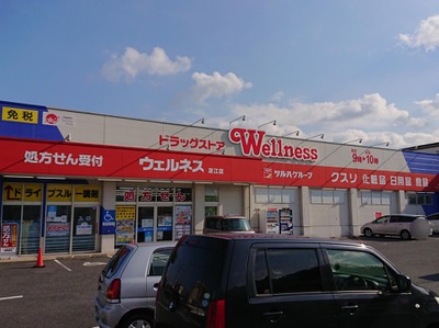 マーケットピア ドラッグストアウェルネス淀江店 米子市淀江町西原