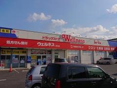 ドラッグストアウェルネス淀江店
