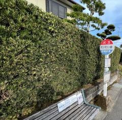 「サンマリン前」バス停留所