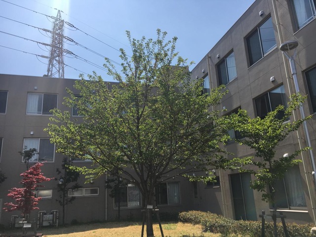 コンフォルト朝霞 施設外観