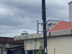 松柏保育園