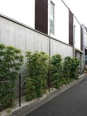 ぐるめ藤