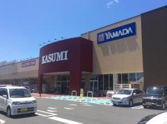 ヤマダ電機　テックランドふじみ野店