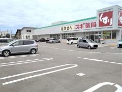 スギ薬局　西金沢店