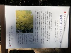 西蓮寺