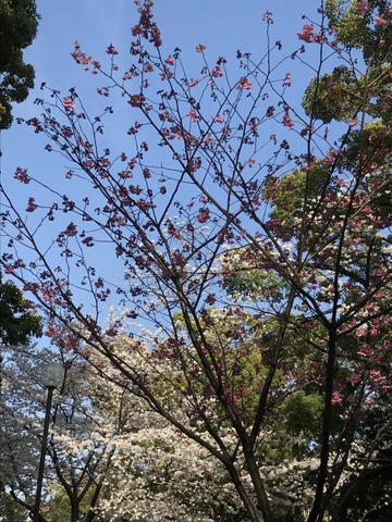 施設写真1